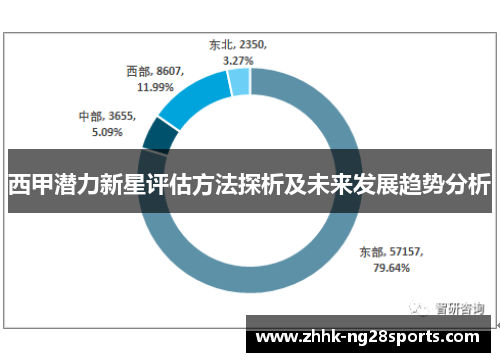 西甲潜力新星评估方法探析及未来发展趋势分析