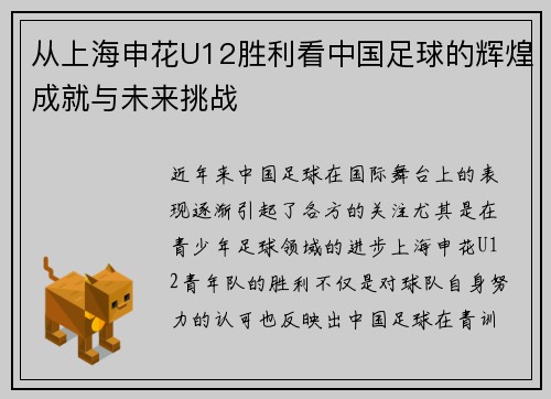 从上海申花U12胜利看中国足球的辉煌成就与未来挑战