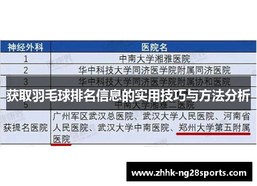 获取羽毛球排名信息的实用技巧与方法分析
